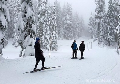 冰雪美景不讓愛莎公主獨享！溫哥華踩雪健行趣