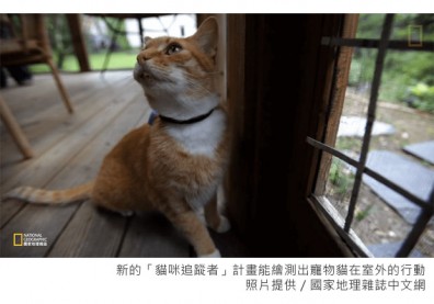 你的貓會走多遠？讓GPS告訴你