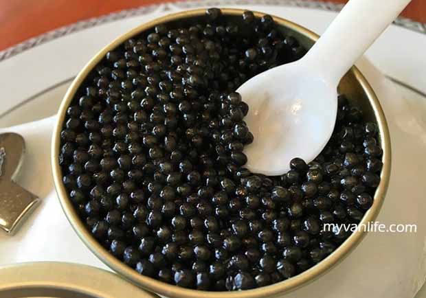 直擊加拿大「黑珍珠」秘密產地！品嘗魚子醬的極致鮮美