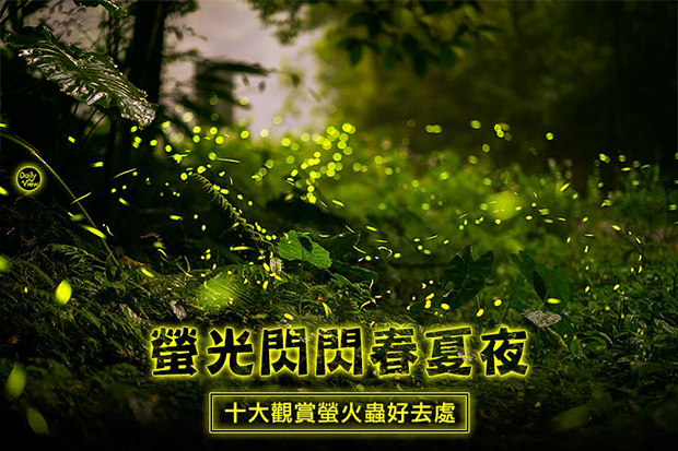 一起追螢去！全台十大熱門賞螢好去處