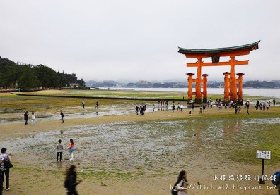 日本必看世界文化遺產！來去朝聖嚴島神社、海中鳥居