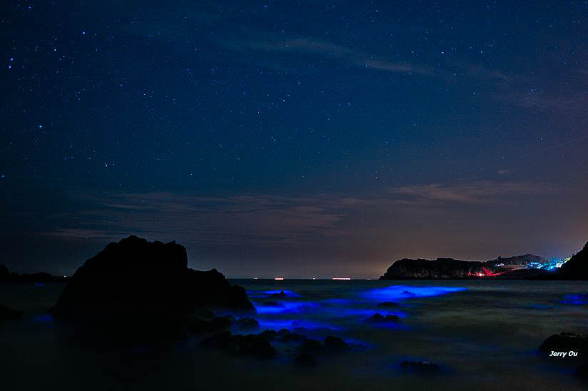 馬祖藍眼淚是什麼？海大證實為「夜光蟲」