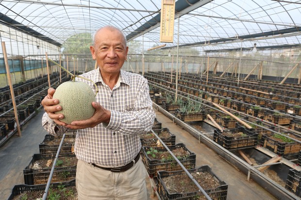 顛覆農業刻板印象！他靠自學種出蔬果價值