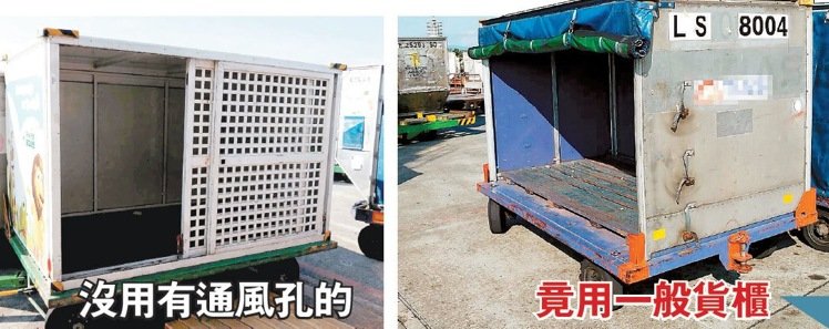 桃機活活熱死一百多隻準備空運的貓狗鳥