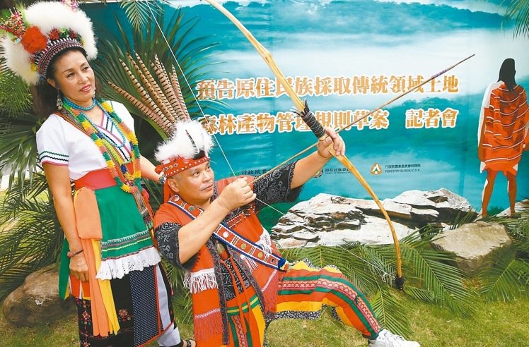 紅檜、扁柏等珍貴樹木 開放原住民有償採集