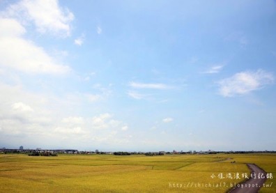 金黃稻穗般的美麗畫布！療癒人心的宜蘭三奇村