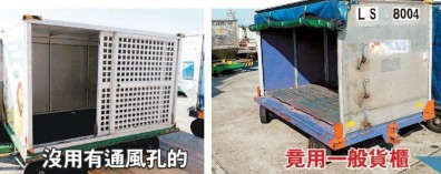 桃機活活熱死一百多隻準備空運的貓狗鳥