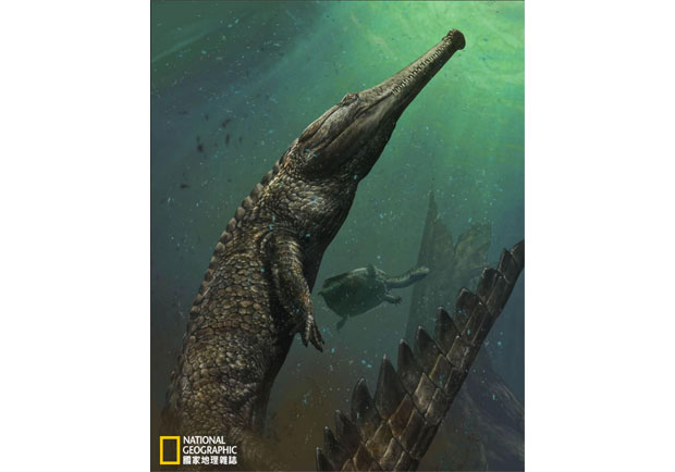 古生物學家大發現：巨獸般的海鱷現身