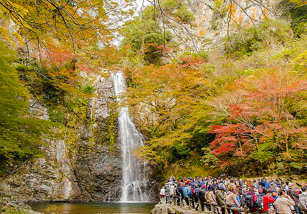 感受楓紅層層的絕美景致！到大阪「箕面瀑布」賞楓趣