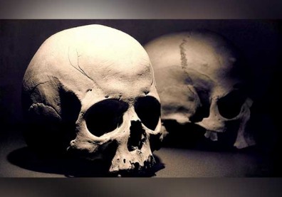 MIT研究：台灣人可能是現今地球人類的共同祖先？