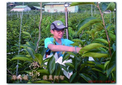 比讀書還重要的事！讓孩子從農家體驗中，悟出人生哲理