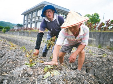 工程師找不到工作學種菜 月入3萬換來幸福