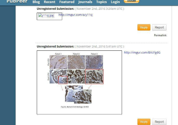 團隊論文涉造假 郭明良辭台大教職以示負責