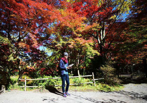 前進日本由布院．金鱗湖賞楓！秋天限定的一場紅色楓暴