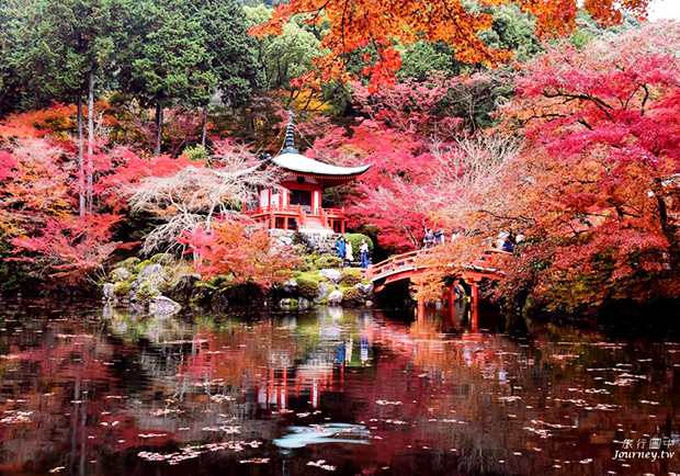 秋天留下的微紅唇印．在世界遺產醍醐寺賞絕美楓景！