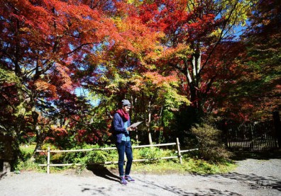 前進日本由布院．金鱗湖賞楓！秋天限定的一場紅色楓暴