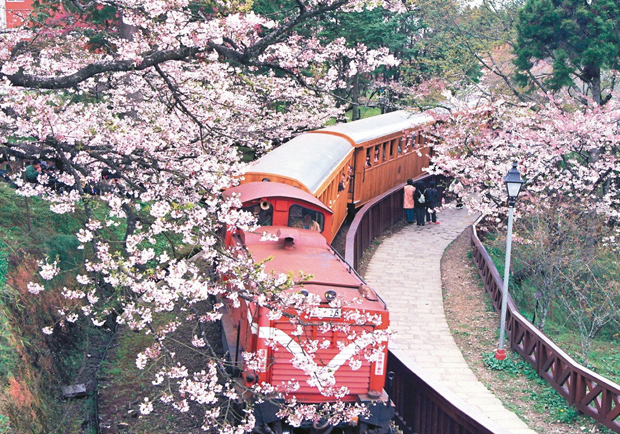 阿里山森林鐵路 營運資金面臨「斷炊」