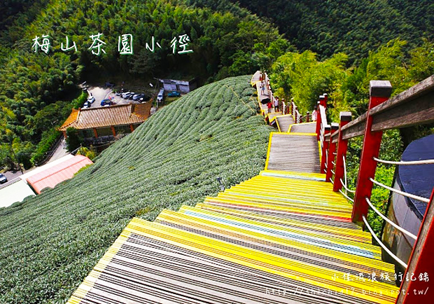 前進嘉義梅山，在蜿蜒的休閒小徑欣賞茶園美好風光！