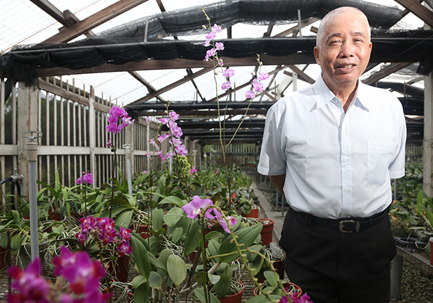 劉定榮：培育蘭花一甲子，堅持根留台灣