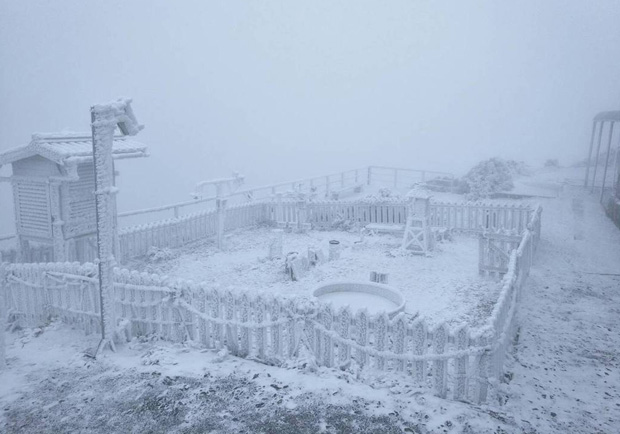合歡山玉山降雪了 遊客興奮上山追雪