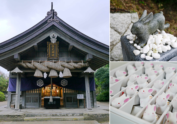 白兔神社的戀愛成就助攻！