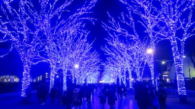 青之洞窟SHIBUYA 藍色隧道般的夢幻景色