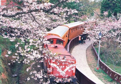 阿里山森林鐵路 營運資金面臨「斷炊」