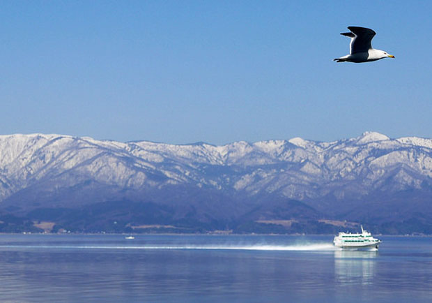 新潟佐渡島：船舶、海鷗、遼闊海景！