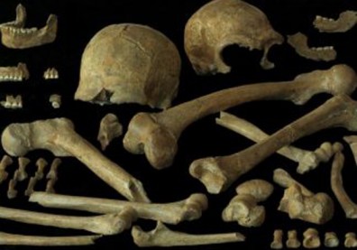 誰是尼安德塔人的牙醫？