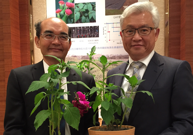 植物抗癌藥 真的是抗癌新希望嗎？