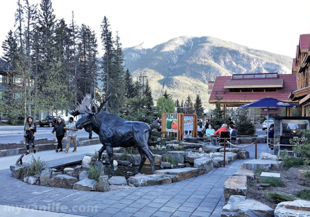 洛磯山脈行旅：你好，我住海狸，他住白頭鷹。你住哪裡？
