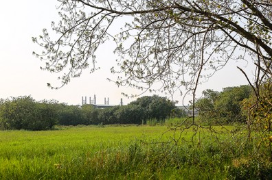 苦等不到業者開發 工業地變「豆豆龍的家」