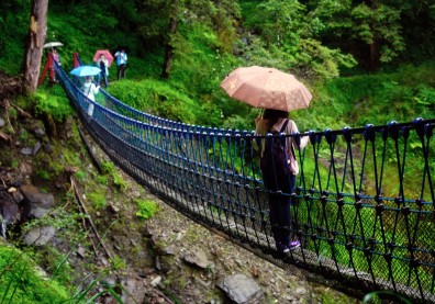 漫步林相寶庫 體會百年綠木永續共存