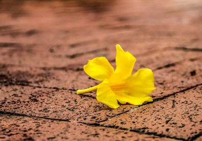「我只是往生者生前關照過的朋友」值得一輩子惦記的真情