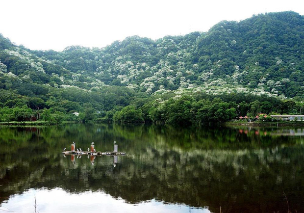 桃園「千塘之鄉」 齊柏林曾說：「好像水晶在發光」