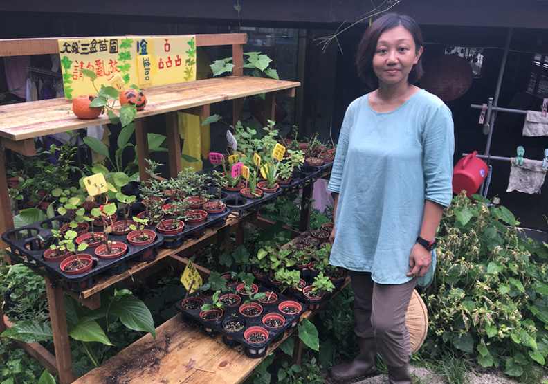 找到心靈綠洲「園藝治療師」領你拈花惹草 開心樂活
