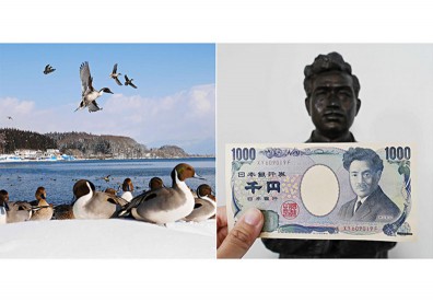 認識日幣一千元上的人：野口英世、長濱猪苗代湖餵天鵝、水鴨