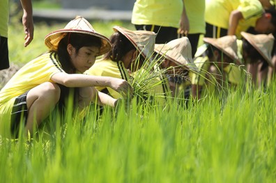 爸媽們，學校已經跟你想的不一樣！