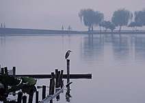 傾聽　冷靜的聽音