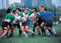 不老的水牛－－台大橄欖球隊