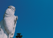 品德應從CEO做起