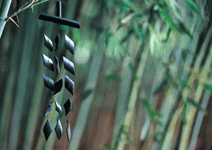 世紀黑鑽－竹炭物語