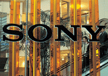 為什麼他們失去了「成長力」？