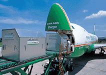 強化優勢 留住外商腳步