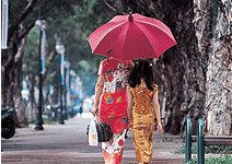 媽媽站起來　走出家暴夢魘