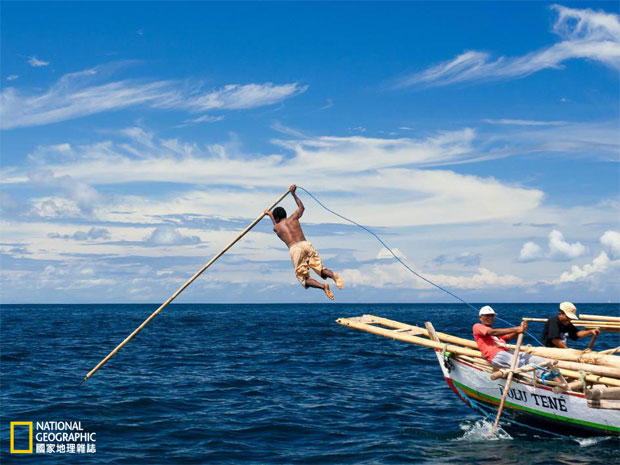 鯨魚如何「被自投羅網」？_img_3