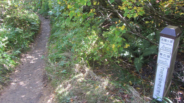 【日本賞楓】楓葉染紅山頭的栗駒山_img_6