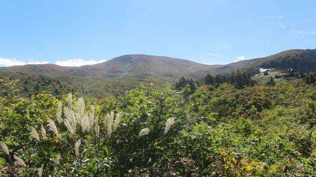 【日本賞楓】楓葉染紅山頭的栗駒山_img_7
