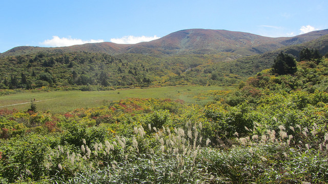 【日本賞楓】楓葉染紅山頭的栗駒山_img_8