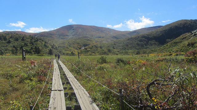 【日本賞楓】楓葉染紅山頭的栗駒山_img_9